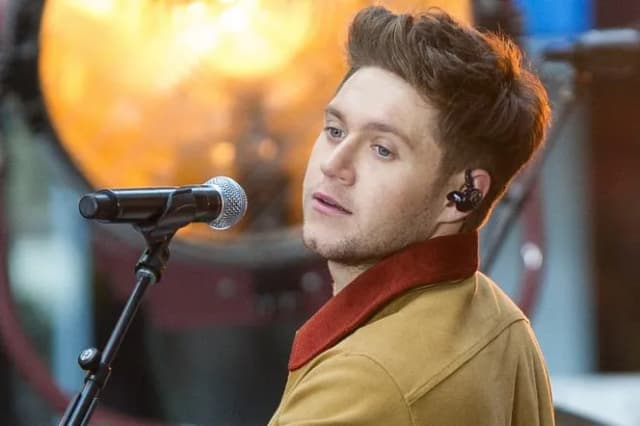 Ile kosztuje bilet na koncert Nialla Horana w Łodzi? Sprawdź ceny! Ile kosztuje bilet na koncert Nialla Horana w Łodzi? Sprawdź ceny!